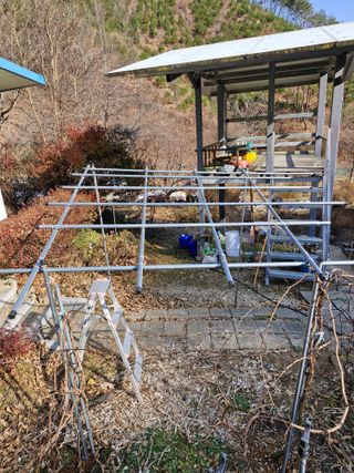 낙엽교목류21691님의 기타작물 · 영농일지 작성글 사진