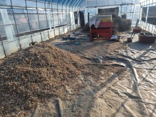 원인호님의 콩 · 영농일지 작성글 사진