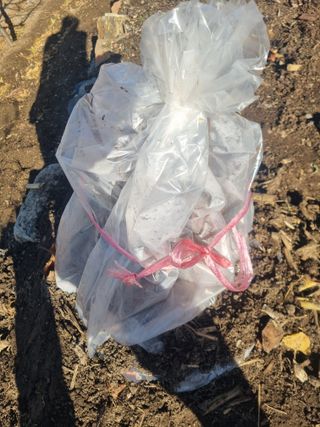 김용대님의 기타작물 · 영농일지 작성글 사진