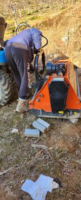 팜모닝 사과·영농일지 게시글 이미지