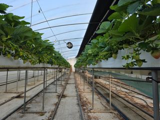 표고버섯10229님의 기타작물 · 영농일지 작성글 사진