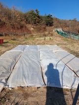 팜모닝 배추·영농일지 게시글 이미지