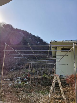 낙엽교목류21691님의 기타작물 · 영농일지 작성글 사진