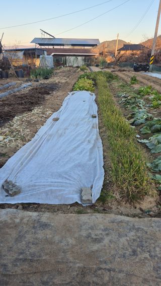 전환엽님의 기타작물 · 영농일지 작성글 사진