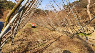 김준한님의 작성글 사진