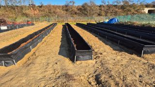 김한수님의 블루베리 · 영농일지 작성글 사진