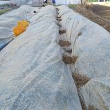 삼성농산님의 작성글 사진