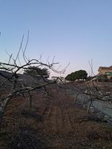 팜모닝 기타작물·영농일지 게시글 이미지