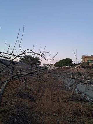 구강회님의 기타작물 · 영농일지 작성글 사진