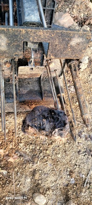 서대산향수님의 포도 · 영농일지 작성글 사진