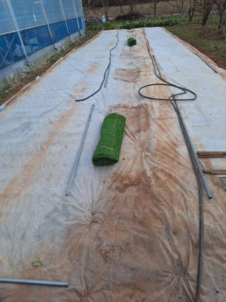 김용환님의 마늘 · 영농일지 작성글 사진