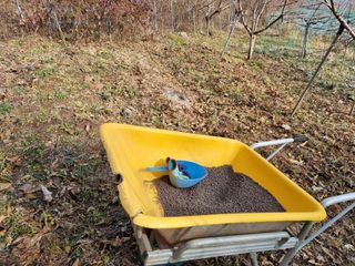 심기섭님의 기타작물 · 영농일지 작성글 사진