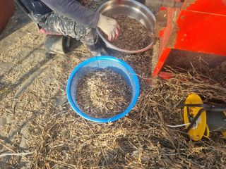 원인호님의 콩 · 영농일지 작성글 사진