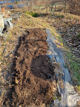 팜모닝 기타작물·영농일지 게시글 이미지