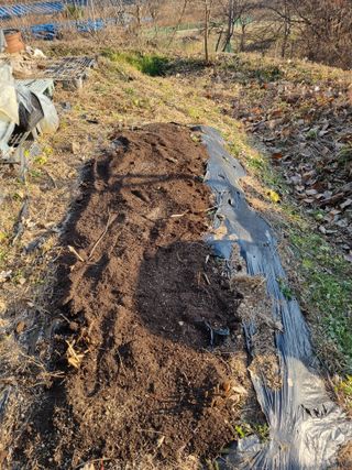 심기섭님의 기타작물 · 영농일지 작성글 사진