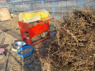 원인호님의 콩 · 영농일지 작성글 사진