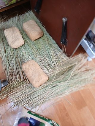 최유순님의 콩 · 영농일지 작성글 사진