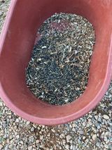 팜모닝 기타작물·영농일지 게시글 이미지