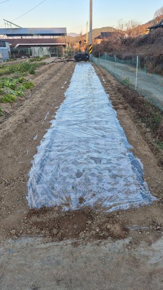 전환엽님의 기타작물 · 영농일지 작성글 사진