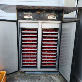 유원준님의 고추 · 영농일지 작성글 사진