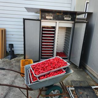 유원준님의 고추 · 영농일지 작성글 사진