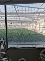 팜모닝 딸기·영농일지 게시글 이미지