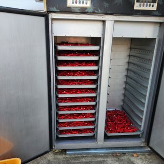 유원준님의 고추 · 영농일지 작성글 사진