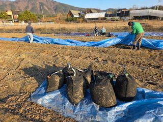 아침못자연농원님의 콩 · 영농일지 작성글 사진