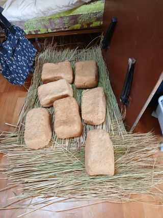 최유순님의 콩 · 영농일지 작성글 사진