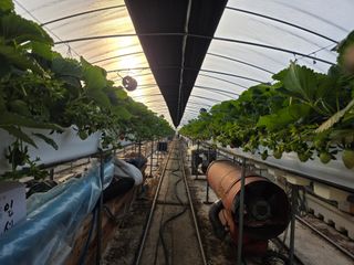 표고버섯10229님의 기타작물 · 영농일지 작성글 사진