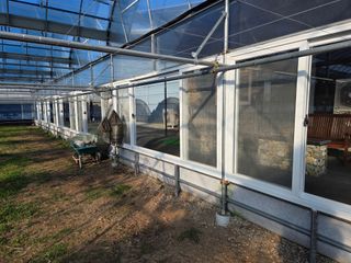 이만근님의 포도 · 영농일지 작성글 사진