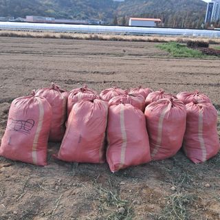 이은화님의 기타작물 · 영농일지 작성글 사진