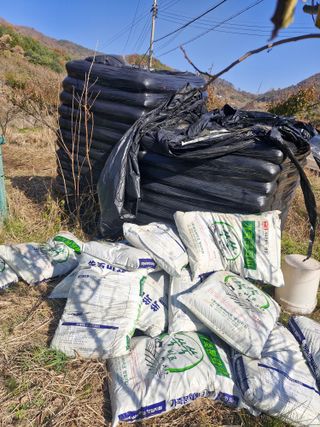 매실향기차향기님의 매실 · 영농일지 작성글 사진