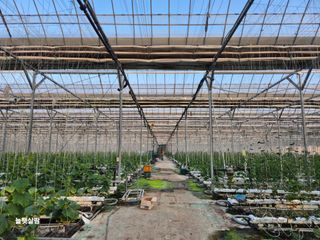 늘햇살팜 님의 기타작물 · 영농일지 작성글 사진