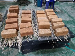 곰새끼님의 콩 · 영농일지 작성글 사진