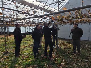 이만근님의 포도 · 영농일지 작성글 사진