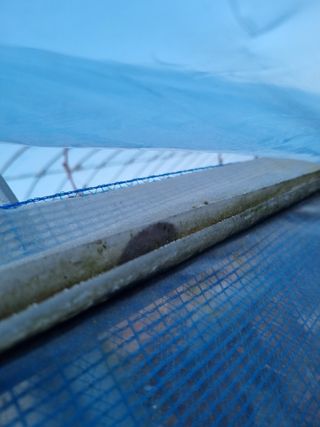 논산푸른팜님의 콩 · 영농일지 작성글 사진