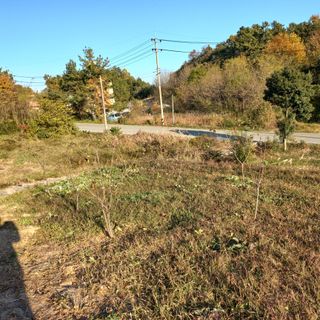 김건우님의 기타작물 · 영농일지 작성글 사진