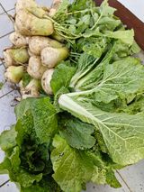 매실향기차향기님의 작성글 사진