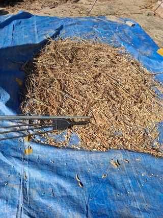 주재필님의 콩 · 영농일지 작성글 사진