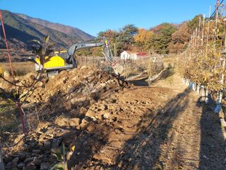 날씨가 흐려 방제가님의 사과 · 영농일지 작성글 사진