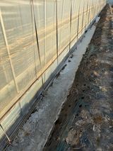 팜모닝 기타작물·영농일지 게시글 이미지