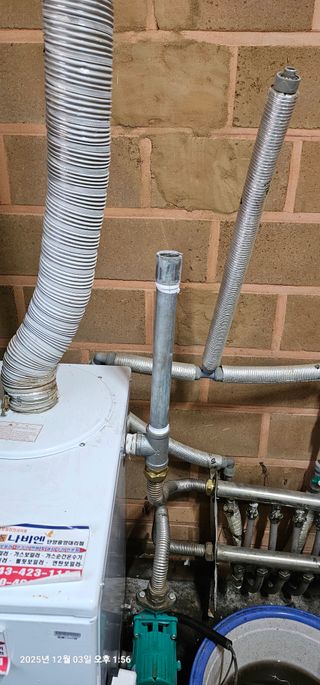 장용선 사진작가농부님의 기타작물 · 영농일지 작성글 사진