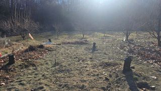 정성영님의 감 · 영농일지 작성글 사진