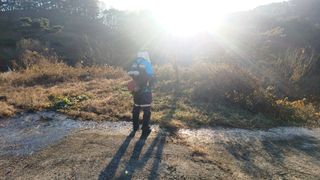 이순기님의 두릅 · 영농일지 작성글 사진