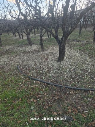 정택님의 기타작물 · 영농일지 작성글 사진
