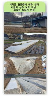 팜모닝 기타작물·영농일지 게시글 이미지