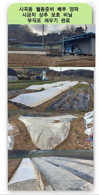 Kns4324님의 기타작물 · 영농일지 작성글 사진