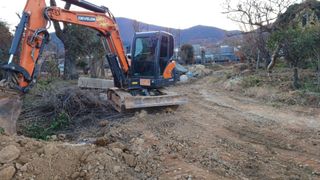 이순기님의 두릅 · 영농일지 작성글 사진