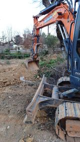 팜모닝 두릅·영농일지 게시글 이미지